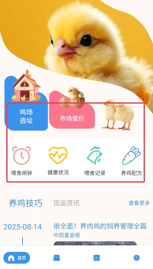 养鸡宝2026下载安装