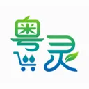 粤灵2026官方最新版本v1.0.21 手机版