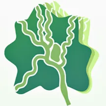 津津通2026最新版本v2.0.0 app