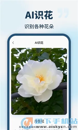 AI智能助手(AI多功能工具) AI智能助手(AI多功能工具)