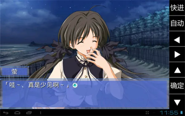 秋之回忆2(恋爱冒险游戏) 秋之回忆2(恋爱冒险游戏)