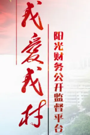 我爱我村(财务监督平台) 我爱我村(财务监督平台)