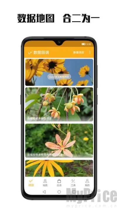 数图田调2026最新版本 数图田调2026最新版本