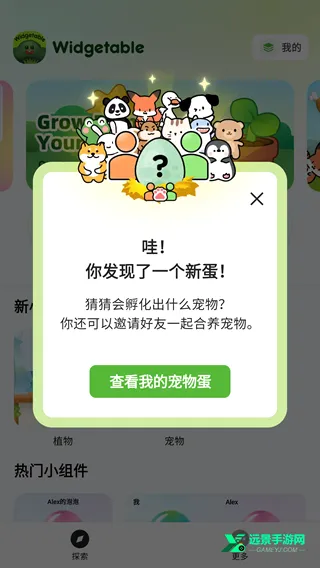 Widgetable2026官方正版 Widgetable2026官方正版