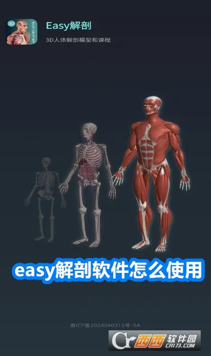 easy解剖安卓版手机版 easy解剖安卓版手机版