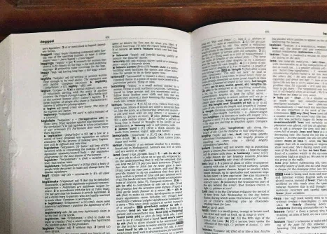 U-Dictionary(多功能翻译软件) U-Dictionary(多功能翻译软件)