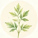 Ұ���ռ�(�����ռ�Ӧ��)v1.0.0 ��Ѱ�